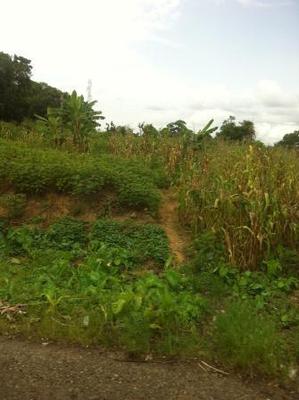 BABUNGO, Cameroon