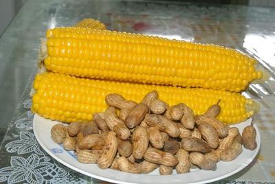 Cameroon Food. Boiled Corn and Ground-nuts