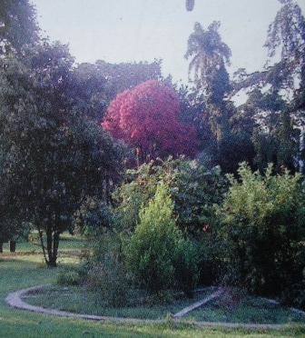 LIMBE BOTANICAL AND ZOOLOGICAL GARDENS, Limbe, Cameroon