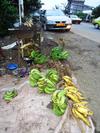 Cameroon Plantains