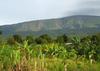 Mount Cameroon, Buea, Cameroon.