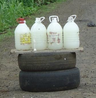 Palm Wine production in Batibo, North West Region of Cameroon