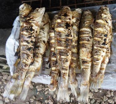 Cameroon Food Collection: Roasted Fish